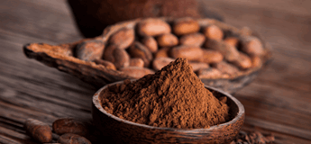 Flavor Profiles for Cocoa